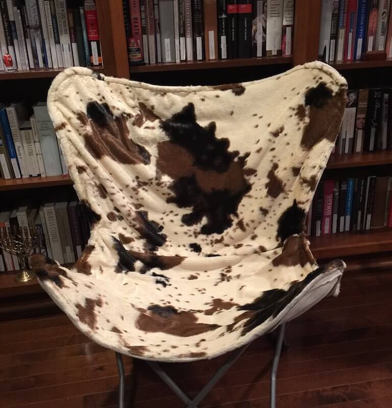 These Chairs are Just Too Fun!