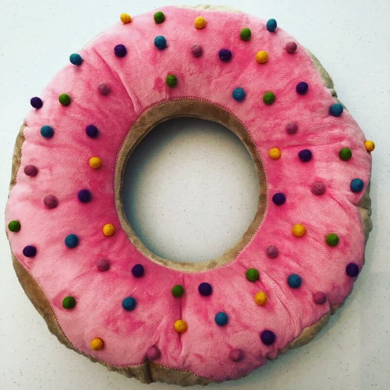 Learn to Make a Donut Pillow! Sunday September 30th 1-4 p.m.